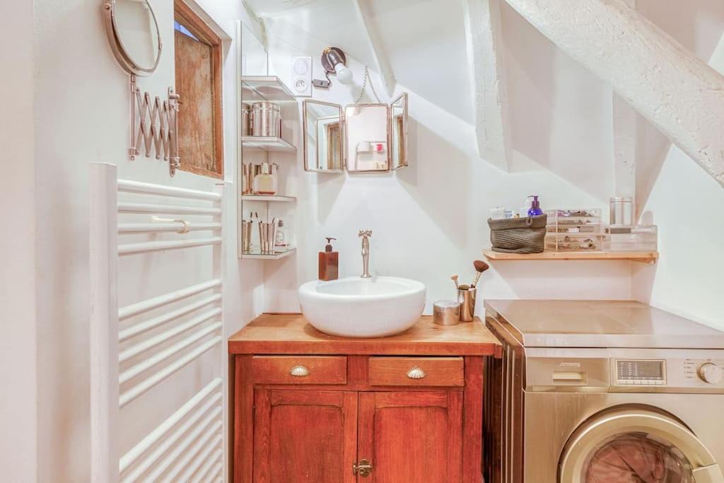 Bastille Duplex Sous Les Toits Appartamento Parigi